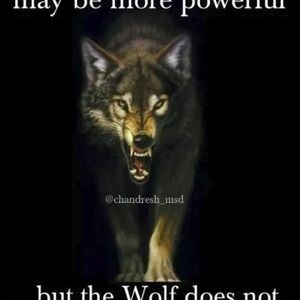 Meet your Posher, Dan